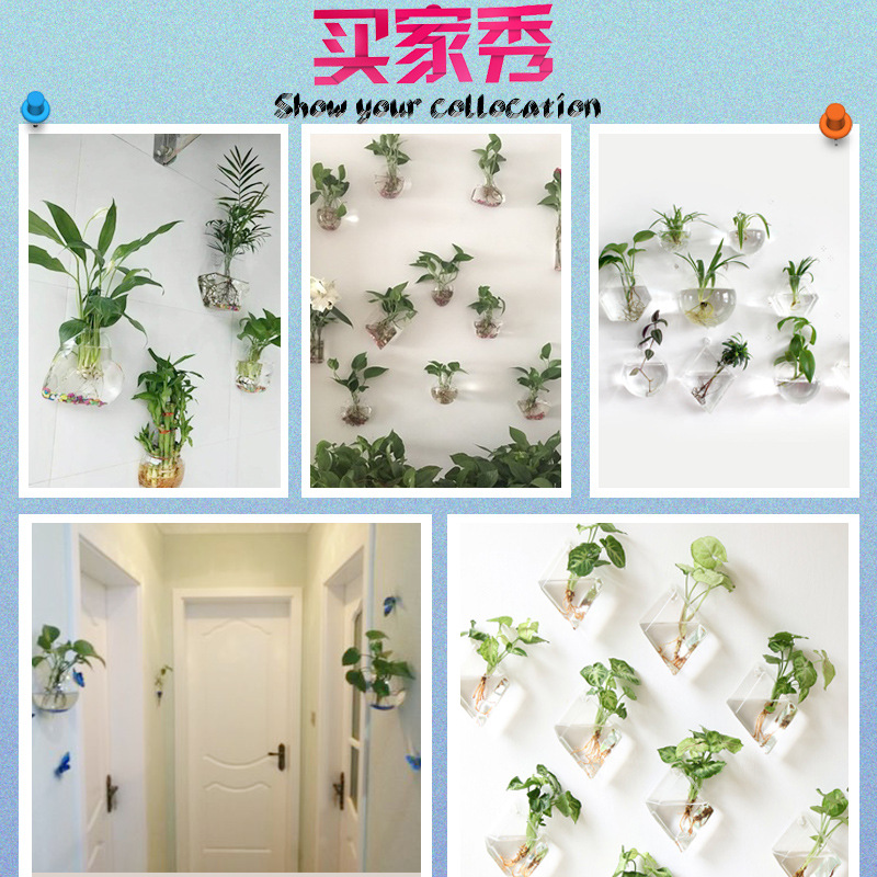 Jarrón colgante de vidrio transparente hogar creativo colgante de pared tanque de peces colgante arreglo floral rábano verde florero de plantas acuáticas