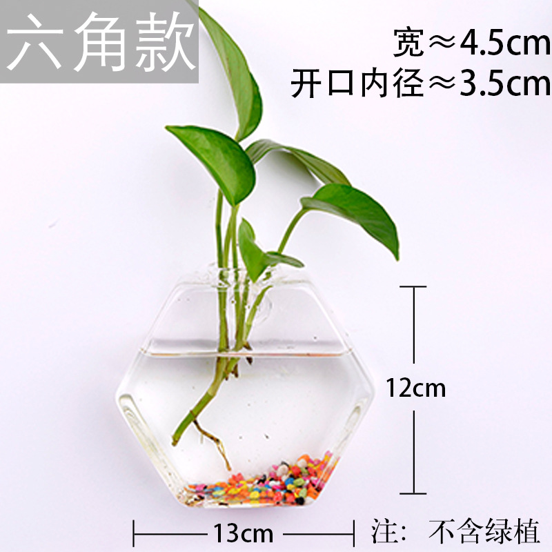 Jarrón colgante de vidrio transparente hogar creativo colgante de pared tanque de peces colgante arreglo floral rábano verde florero de plantas acuáticas