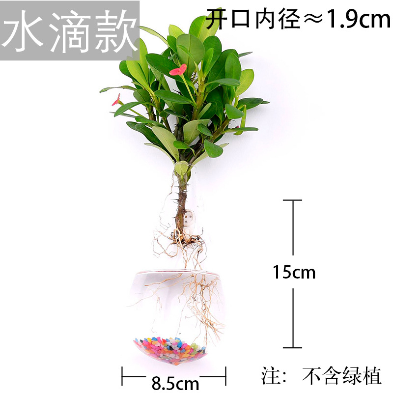 Jarrón colgante de vidrio transparente hogar creativo colgante de pared tanque de peces colgante arreglo floral rábano verde florero de plantas acuáticas