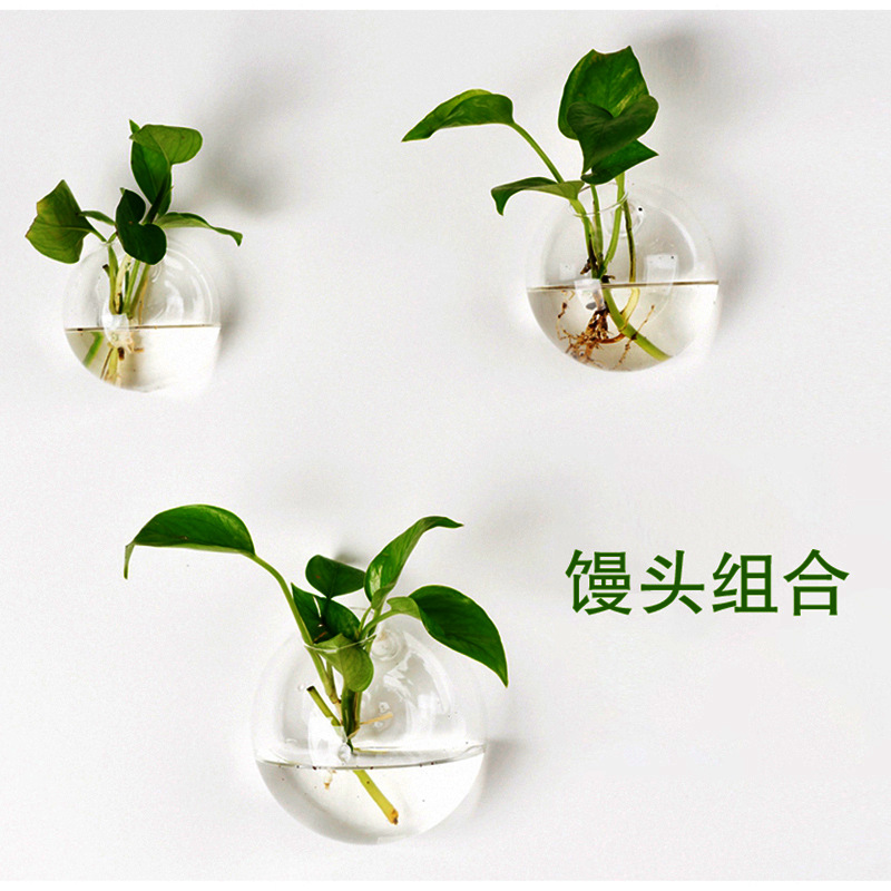 Jarrón colgante de vidrio transparente hogar creativo colgante de pared tanque de peces colgante arreglo floral rábano verde florero de plantas acuáticas