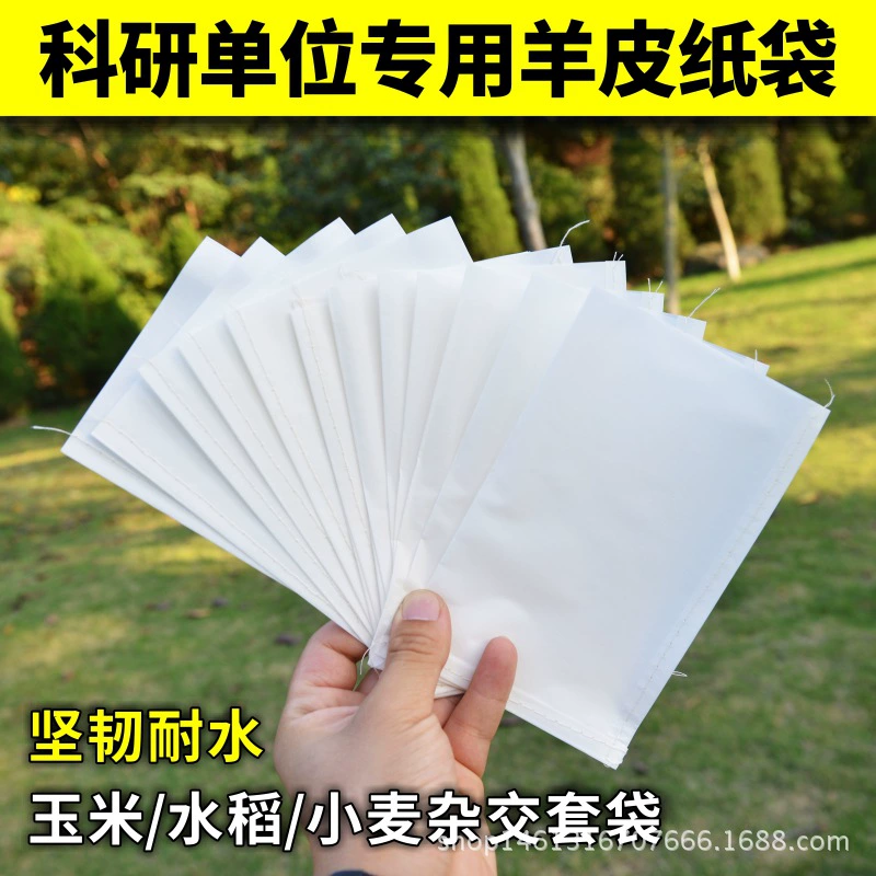 Кукуруза пшеницы Гибридный мешок серной кислоты бумага опыления изоляции рукав размножения мешок овчины бумажный мешок шить