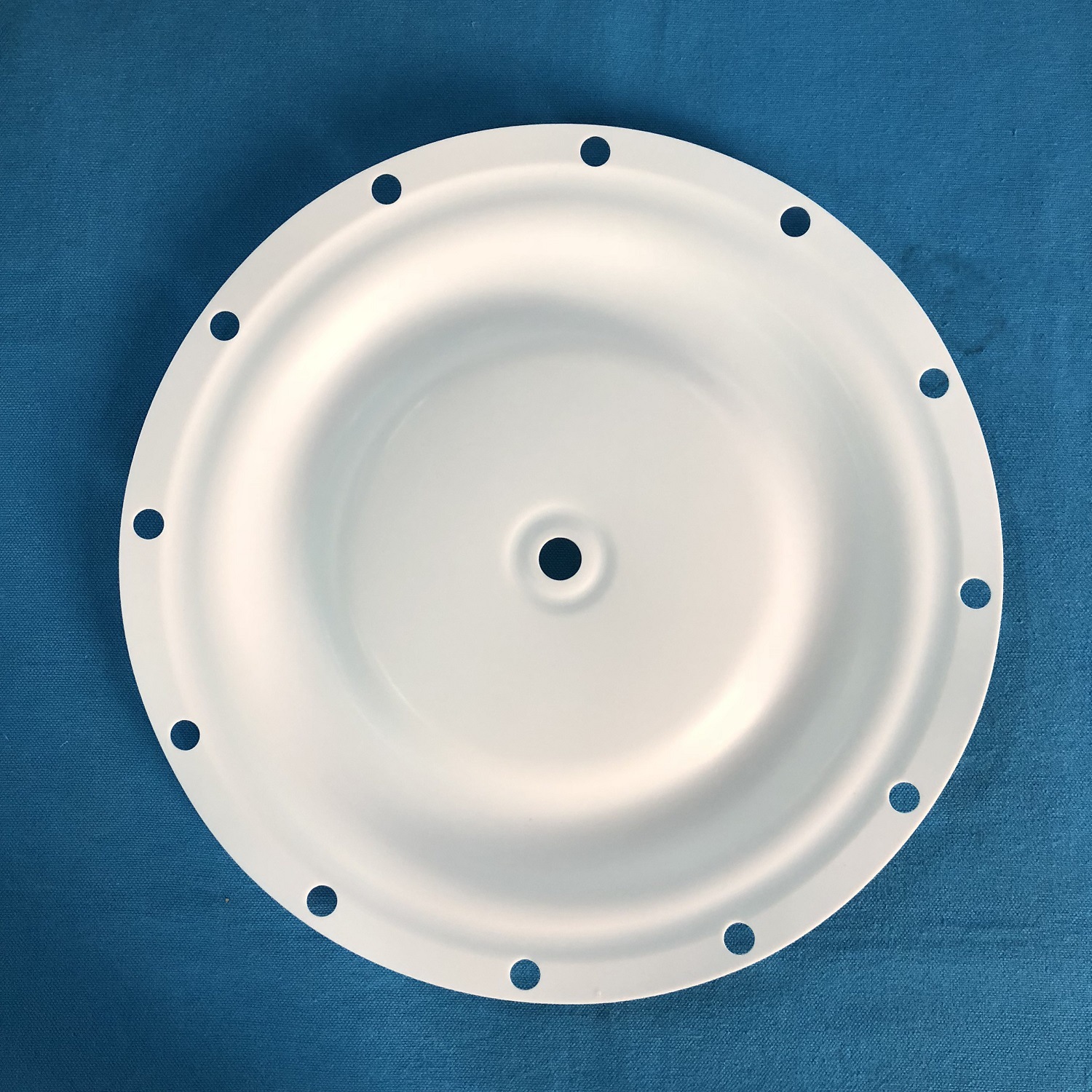 现货BLAGDON隔膜泵同款1B039聚四氟乙烯膜片