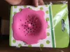 Fuchsia, flowered