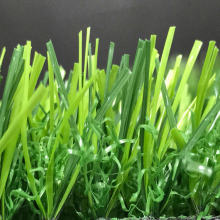 ͥԺ^ݡeݡٲƺƺOӋʩ