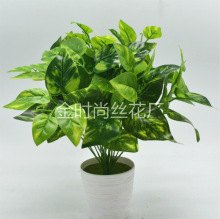 �S��ֱ�N ����G�}�~  7���u���~ �ٻ��Gֲ���� ����ֲ����