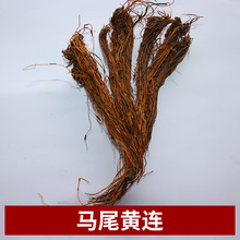 ԴaֱӹRβSB ҷNzRβSBș Rβș