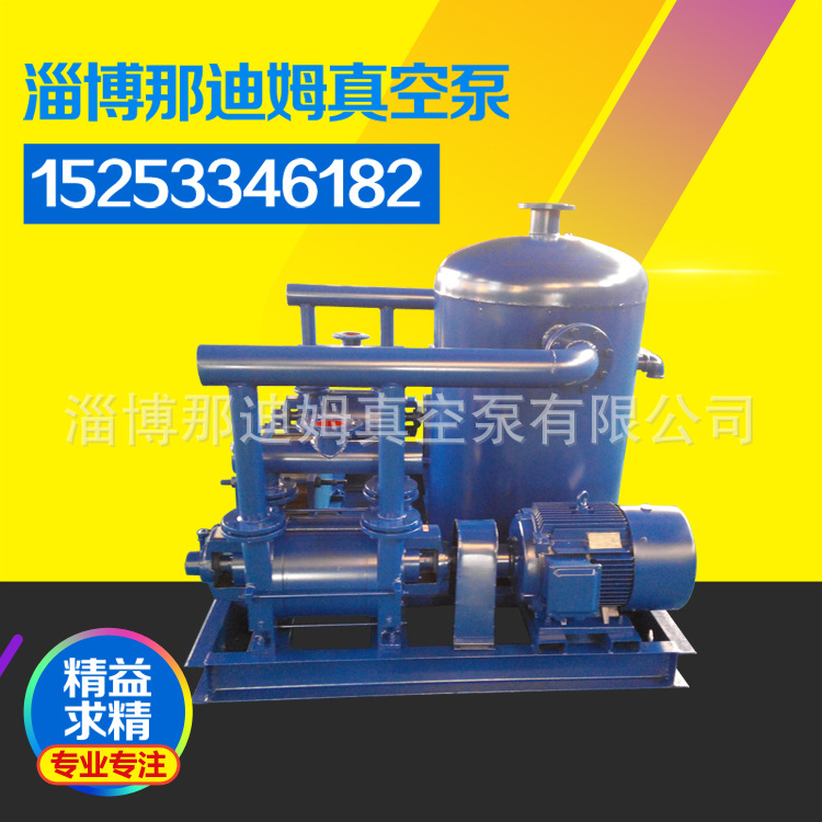 厂家直销换热器机组2BEA153双机水循环机组 水环式真空机组