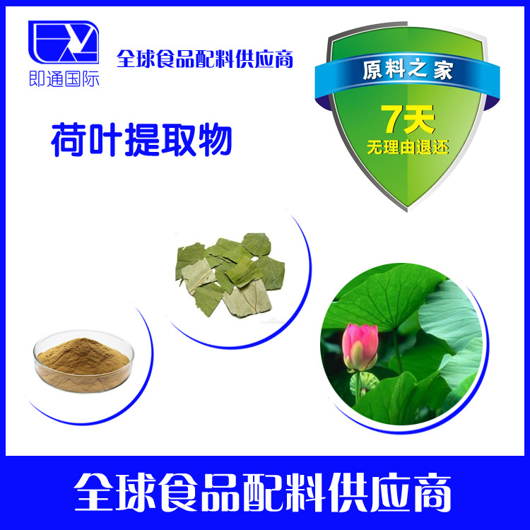 现货供应荷叶提取物量大从优 欢迎选购