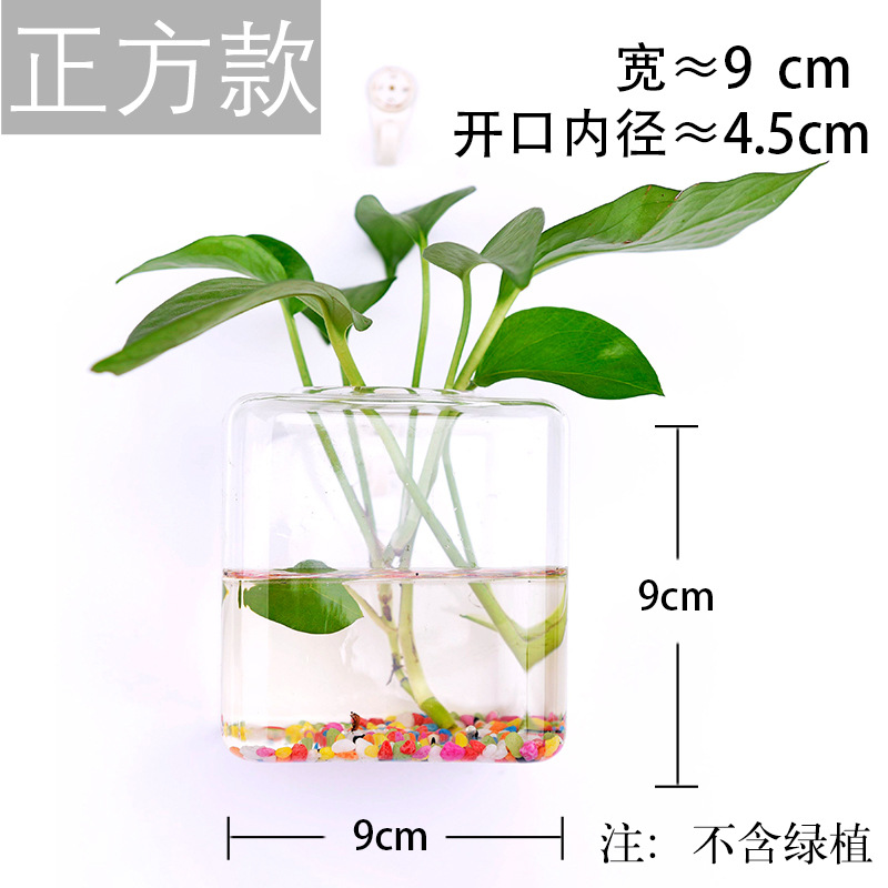 Jarrón colgante de vidrio transparente hogar creativo colgante de pared tanque de peces colgante arreglo floral rábano verde florero de plantas acuáticas