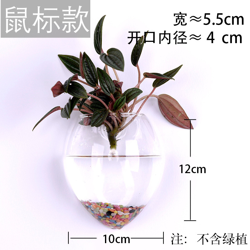 Jarrón colgante de vidrio transparente hogar creativo colgante de pared tanque de peces colgante arreglo floral rábano verde florero de plantas acuáticas
