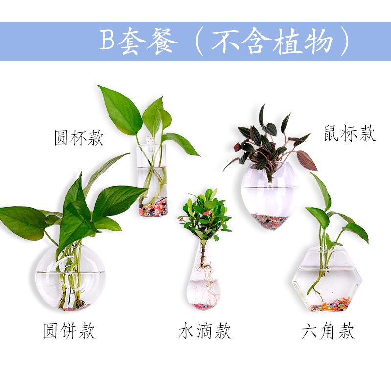Jarrón colgante de vidrio transparente hogar creativo colgante de pared tanque de peces colgante arreglo floral rábano verde florero de plantas acuáticas