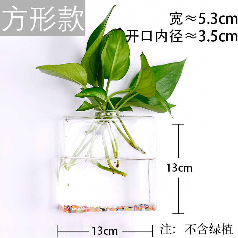 Jarrón colgante de vidrio transparente hogar creativo colgante de pared tanque de peces colgante arreglo floral rábano verde florero de plantas acuáticas