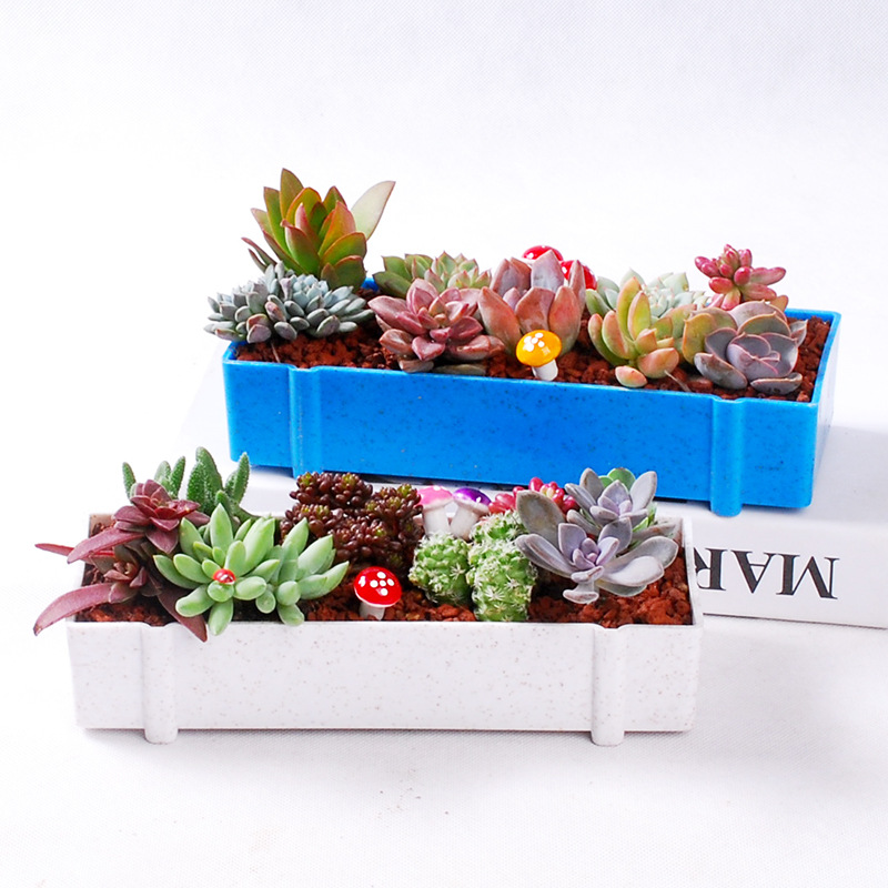 Set di combinazione creativa rettangolare in fibra vegetale, piccolo vaso di fiori in plastica per piante grasse_voghion.com