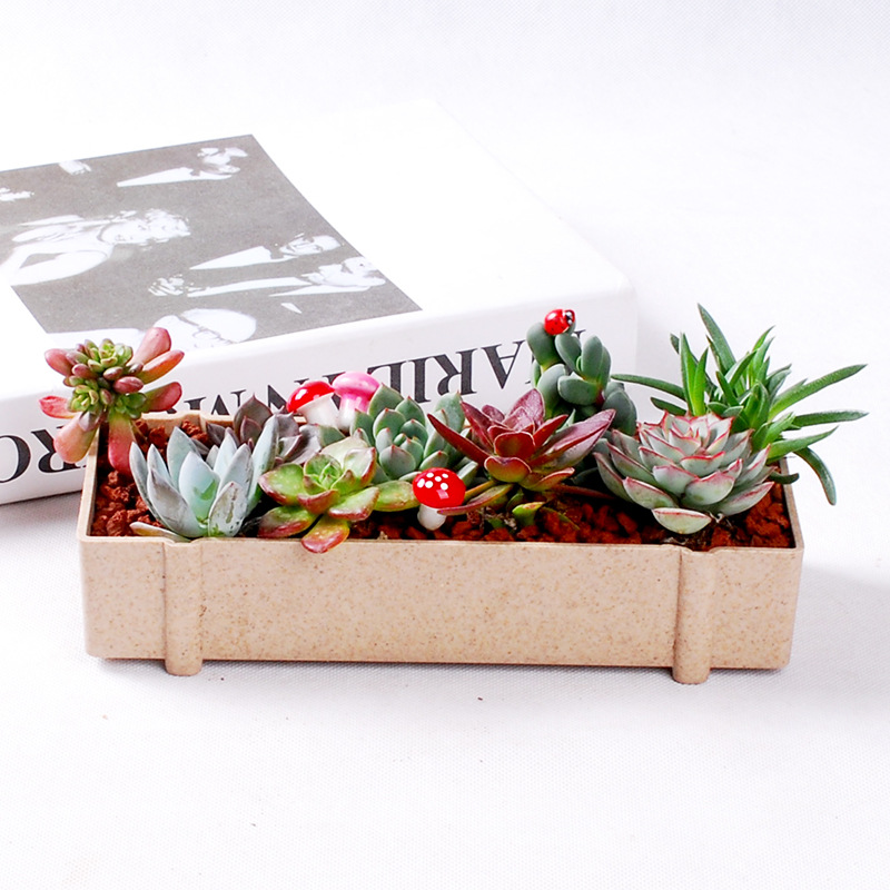 Set di combinazione creativa rettangolare in fibra vegetale, piccolo vaso di fiori in plastica per piante grasse_voghion.com