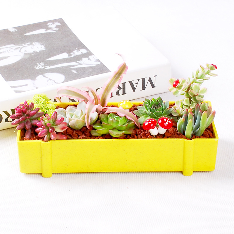 Set di combinazione creativa rettangolare in fibra vegetale, piccolo vaso di fiori in plastica per piante grasse_voghion.com