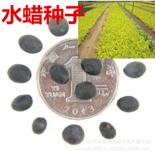 ˮϞN ~ˮϞ ~ˮϞ С~ˮϞ ||ˮϞN ļ