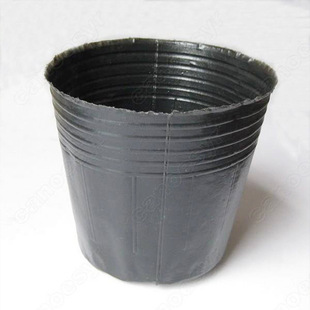 �I�B�� �I�B�� ����� �@ˇ���籭�Nֲ��ֲ��� ��ɫܛ���ϻ���