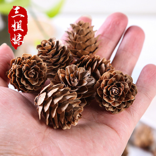 Pinecone small fallen leaves mini pine flowers diy handmade crafts chandelier North China fallen leaves Christmas pendant decoration wholesale