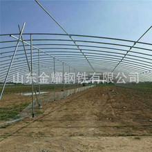 专营大棚管热镀锌钢管使用寿命长 强度好不生锈大棚镀锌管 配件全