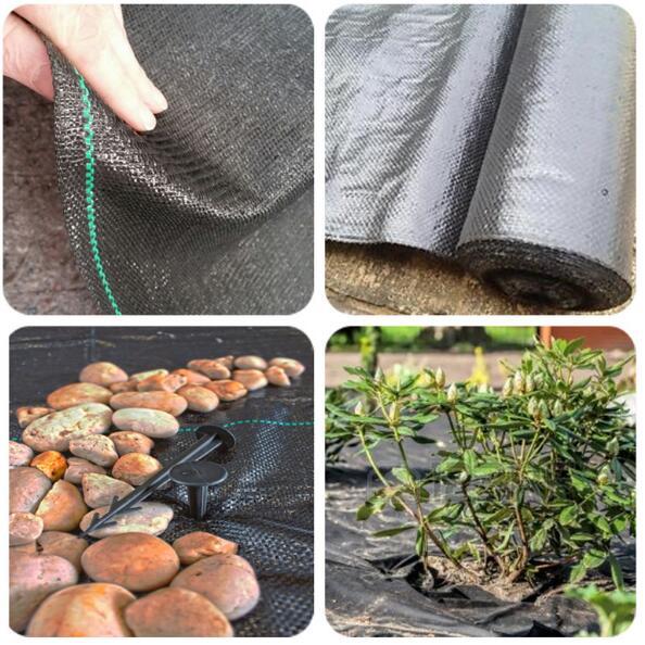 优惠供应塑料防草布  地布 果园地布 园林地布