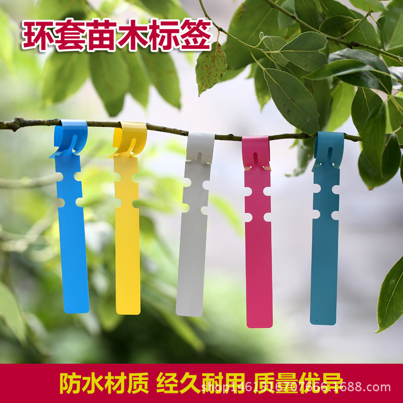 For Amazon gardening label ring set label PVC plastic waterproof label Orchid label seedling label sign