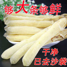 沙虫干货北海特产海产品条自晒自销鲜美滋补品煲汤煲粥