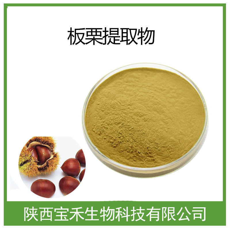 榛子提取物 10:1 榛子粉  山板栗提取物 榛子浓缩粉 另有榛子多糖