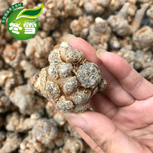 �����ߡ���؛���l����ʳ��һ�����l�Ԍ�؛Դȫ���\�д���