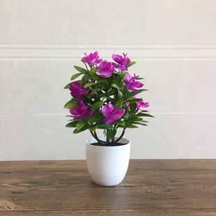 ����ֲ������ �¿�����m���ϼٻ��辰 ���컨 �Ҿ��bGֲ�[��