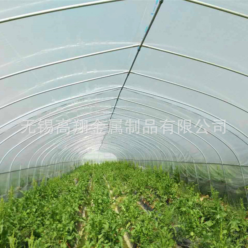 广西建一亩蔬菜大棚多少钱温室大棚蔬菜大棚养殖大棚