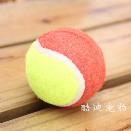 Tennis toy