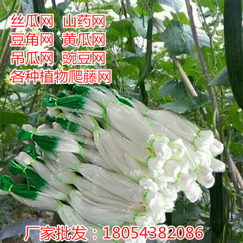 植物爬藤网种植网爬藤架黄瓜丝瓜山药吊瓜豆角百香果支架网网格