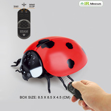 新奇特遥控蜜蜂苍蝇创意仿真昆虫瓢虫 整蛊儿童电动玩具模型