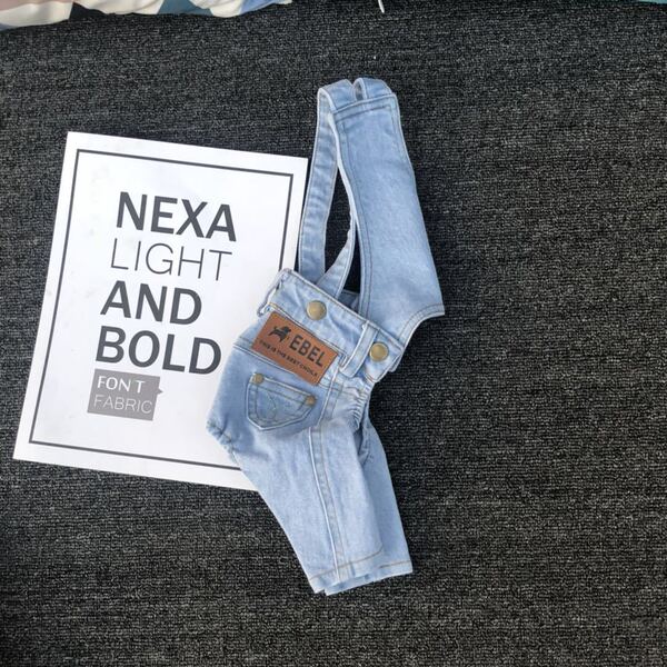 Denim autumn overall