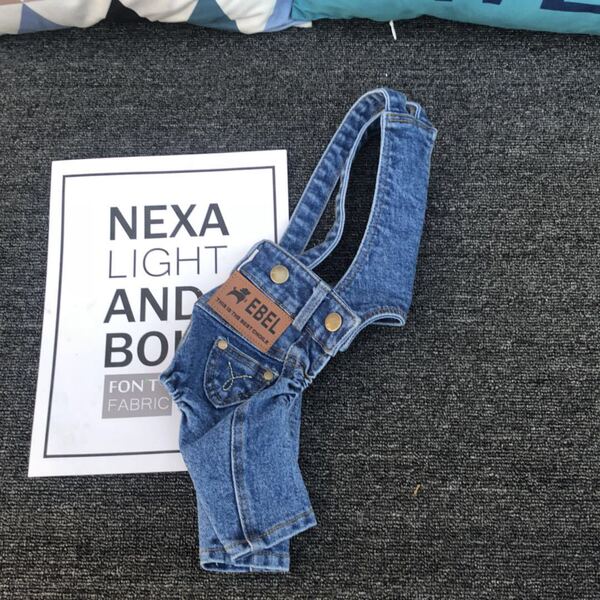 Denim autumn overall