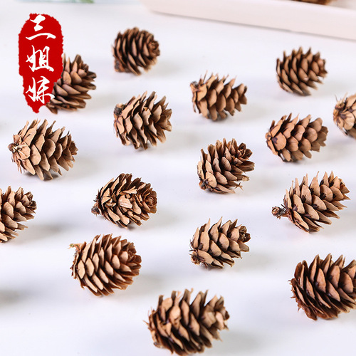 Pinecone small fallen leaves mini pine flowers diy handmade crafts chandelier North China fallen leaves Christmas pendant decoration wholesale