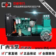 �S��ֱ�N25kw�����Ͱl늙C�M 25KW���͙C��˹̹��늙C