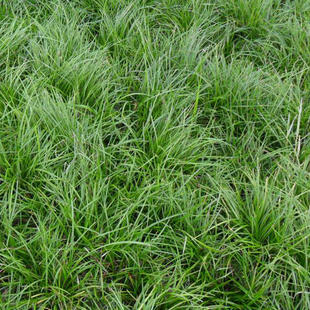 �������l ���~������ ��������ݟo���޼� ���l�L�~���A��