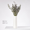 Fresh ceramics, modern white decorations for living room, jewelry, wholesale