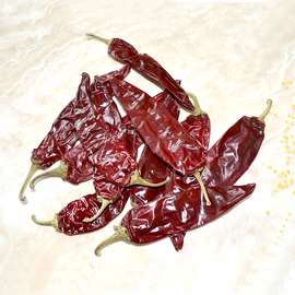 新疆甜红辣椒  带把手选  品质保证 新疆甜椒大条