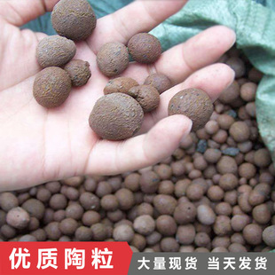 ���� �@�ֈ@ˇ���B���| ���Ի��| ���w�� �o������ �I�B��