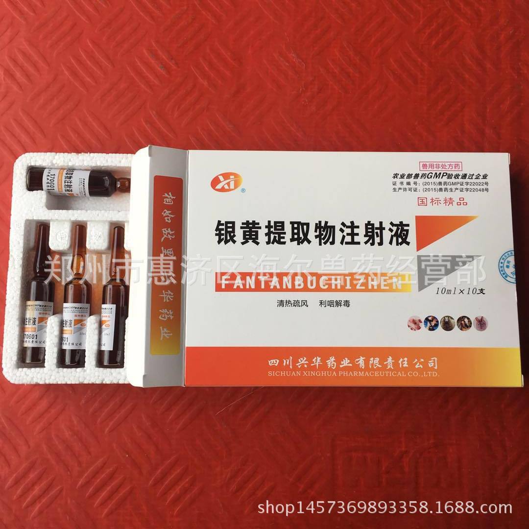 厂家直销 银黄提取物注射液 原名怪病反弹不吃针