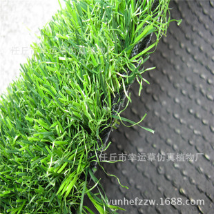 �����ƺ �ٲݴ��� 2����20mm��PE�b��^�����̺��ƺ���l