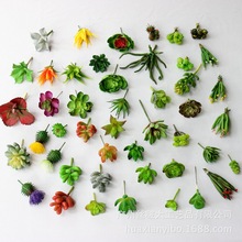 65款混批 迷你仿真多肉盆栽植物 盆景相框植物墙配材 仿真植物