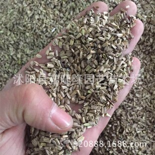 �������l�ݻ��N�����ɹ���  �ɹ��� ����  ���������ɹ��շN��