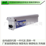 跨境专供36V 48V 60V 72V 10AH锂电池 电动车电池 银鱼款锂电池