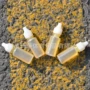 10mlms2206轴承滑板润滑油