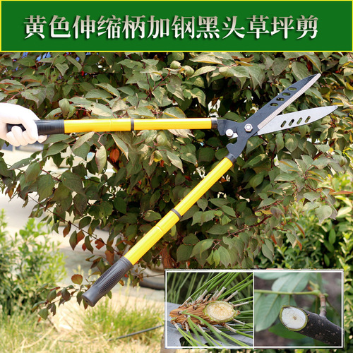 Garden tools yellow steel pipe telescopic handle pruning hedge scissors large head quenching black head white head holly lawn shears