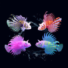 �~���쾰�b�Ʒ�[�� ˮ����[�����z����ҹ������ɫ�{���~ ���~