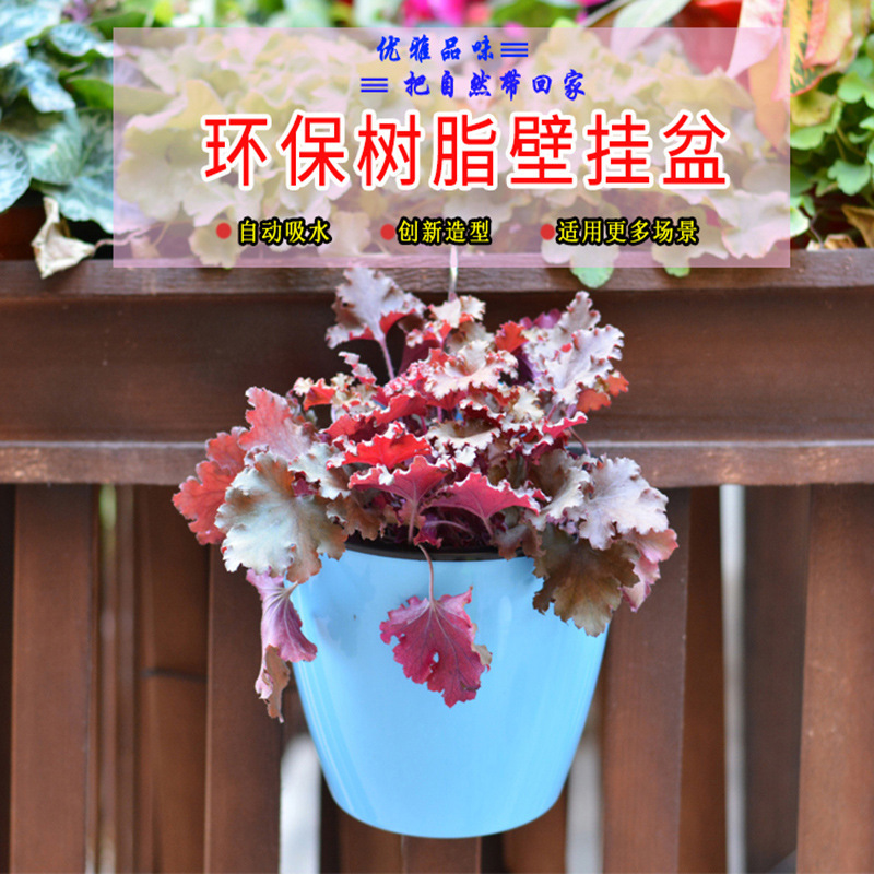 自動吸水怠惰な植木鉢クリエイティブ水耕壁掛け盆栽半円形樹脂ポトスプラスチック卸売工場|undefined